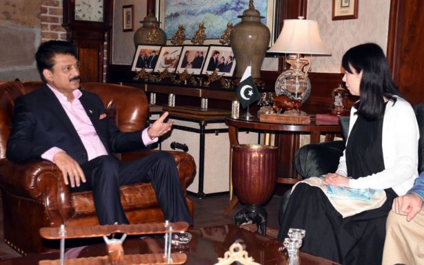 Japanese IT delegation meets Senator Shahzad Waseem