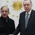 Erdogan, PM Sharif plot diplomatic push against Israeli strikes