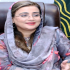 Punjab minister reviews Muharram security