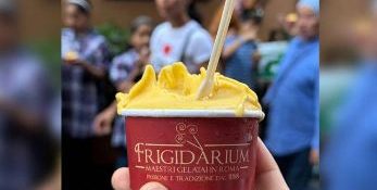 Pakistani embassy introduces 'Chaunsa Gelato' in Rome