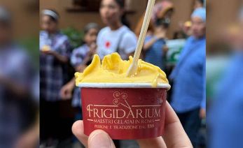 Pakistani embassy introduces 'Chaunsa Gelato' in Rome