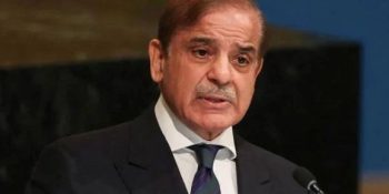 PM Shehbaz calls for formulating joint strategy to deal with climate crisis