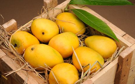 Sweet prospects: Elevating Pakistan’s mango exports to China and elsewhere
