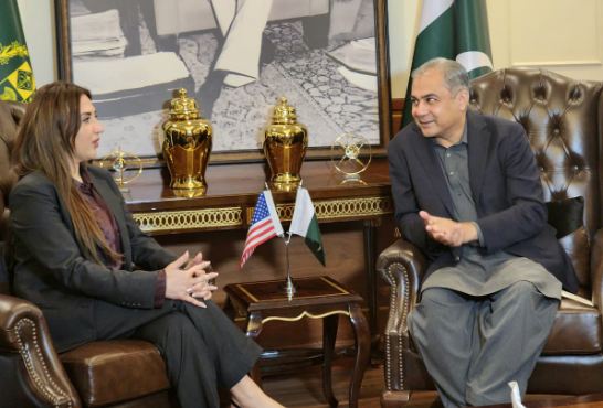 Naqvi, US Acting Ambassador discuss bilateral relations in meeting
