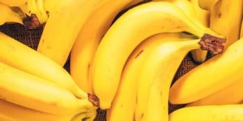 Bananas may help reduce mid-meal hunger