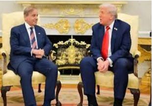Shehbaz Sharif welcomes Trump Gaza peace plan
