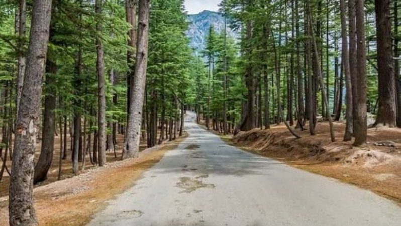 KP Govt plans eco tourism zone at Usho Forest Kalam: Secretary