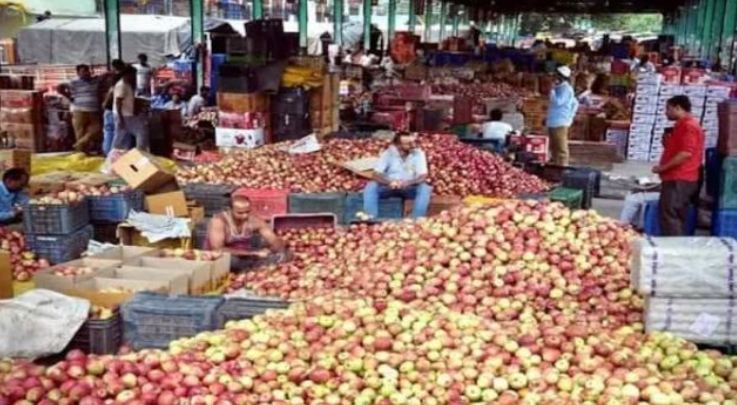 India’s willful economic assault devastates Kashmir’s fruit industry, billions lost