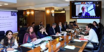 Finance Minister virtually chairs ECC meeting