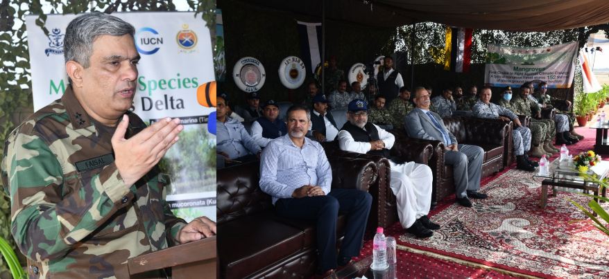 Pakistan Navy launches mangrove plantation campaign 2025