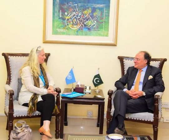 Aurangzeb, UNICEF envoy discuss efforts to combat child stunting