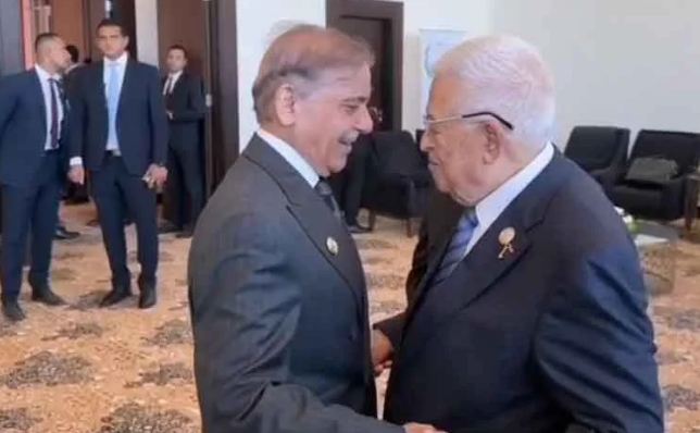 PM Shehbaz meets Palestinian president, calls Gaza ceasefire ‘prelude to peace’