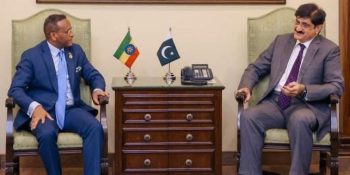 Pakistan, Syria to continue efforts for regional peace