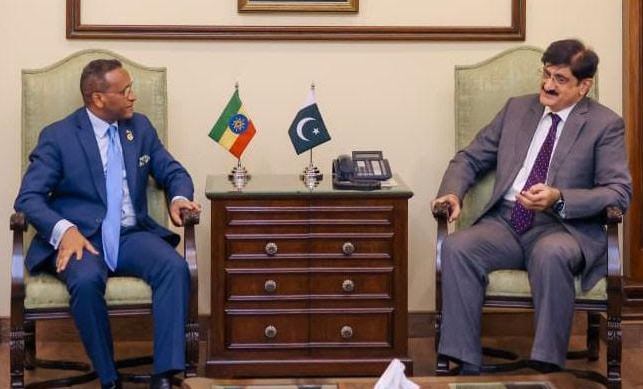 Pakistan, Syria to continue efforts for regional peace