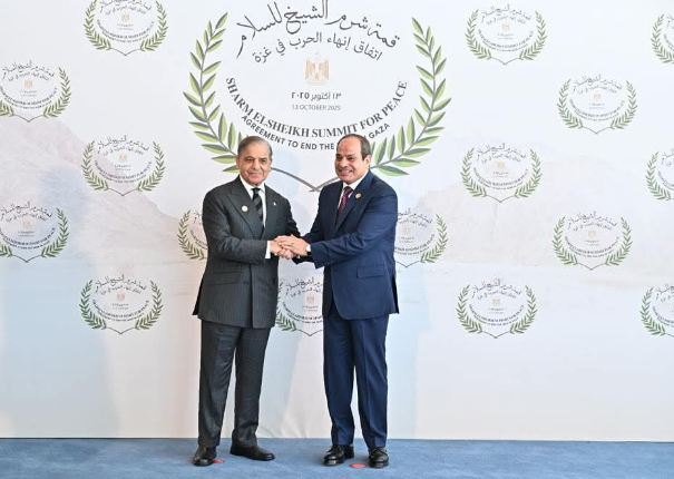Egypt's president welcomes PM Shehbaz at Sharm El-Sheikh