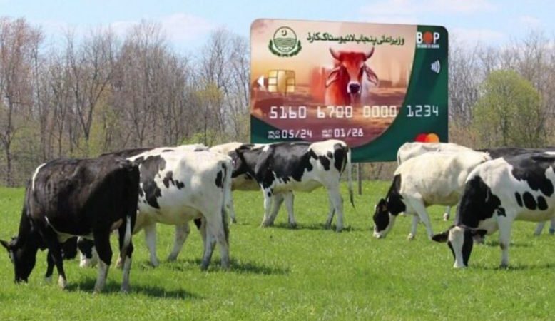 Punjab Livestock Card registration deadline ends tomorrow