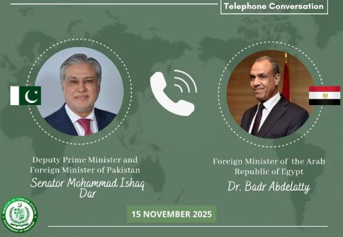 Dar, Egyptian FM discuss Gaza peace, regional developments