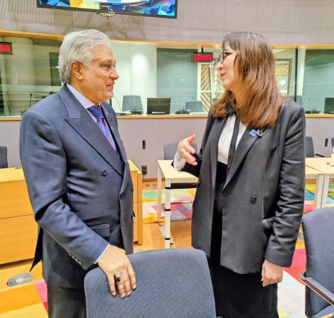 Pakistan, Japan commit to strengthen ties in Brussels meeting