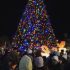 Christmas Tree Lighting Ceremony