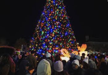 Christmas Tree Lighting Ceremony