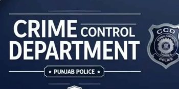 CCD to take action against groups committing online crimes