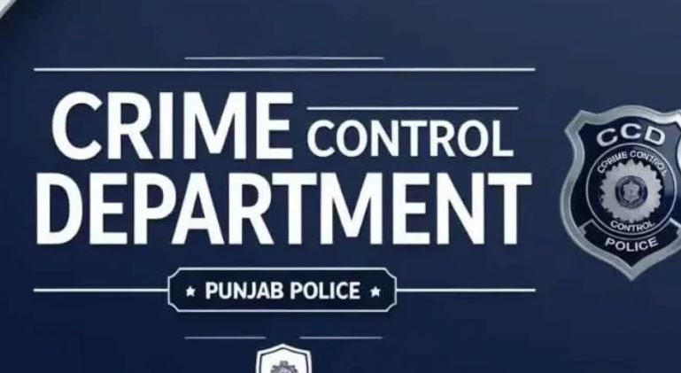 CCD to take action against groups committing online crimes