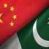 DPM&FM of Pakistan reiterates Pakistan’s adherence to one-China principle