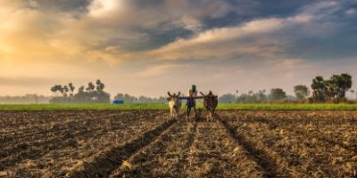 From Chemical to Biological Control: Safer Pesticide Alternatives