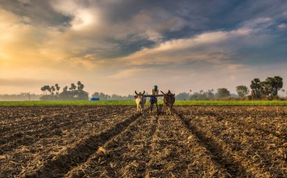 From Chemical to Biological Control: Safer Pesticide Alternatives