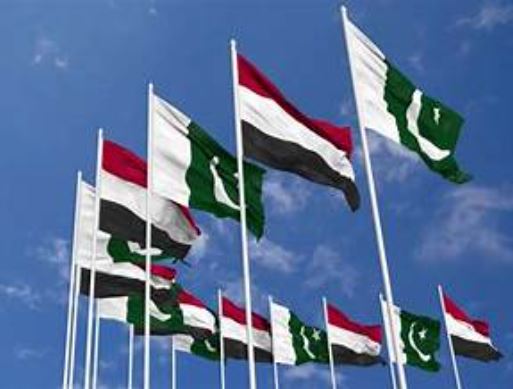 Islamabad hopes regional efforts bring lasting peace to Yemen