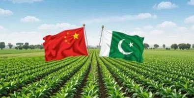 Pakistan can achieve fast-track transformation in agriculture through Chinese partnership: PM