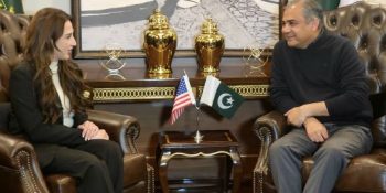 Naqvi, US Envoy agree on joint crackdown on illegal immigration