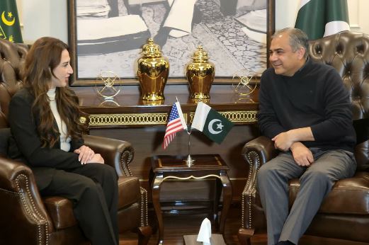 Naqvi, US Envoy agree on joint crackdown on illegal immigration