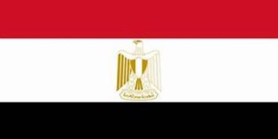 Egypt approves cabinet shake-up focused on economic portfolios