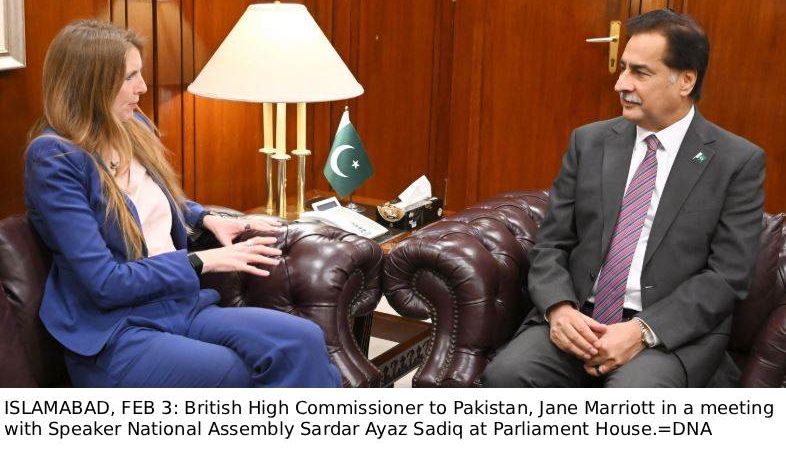 UK envoy, NA Speaker exchange views on bilateral ties