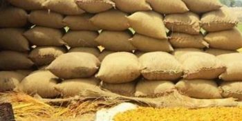 Wheat scandal exposes massive corruption in Sindh