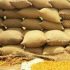 Wheat scandal exposes massive corruption in Sindh