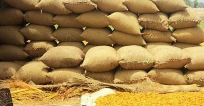 Wheat scandal exposes massive corruption in Sindh