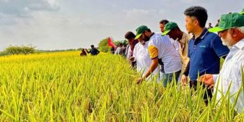 1,000 Pakistani agricultural professionals trained in China