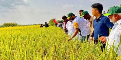 1,000 Pakistani agricultural professionals trained in China 