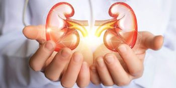 Illegal kidney transplant case: SC expresses dismay over accused doctor’s absence