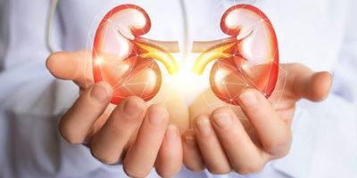 Illegal kidney transplant case: SC expresses dismay over accused doctor’s absence