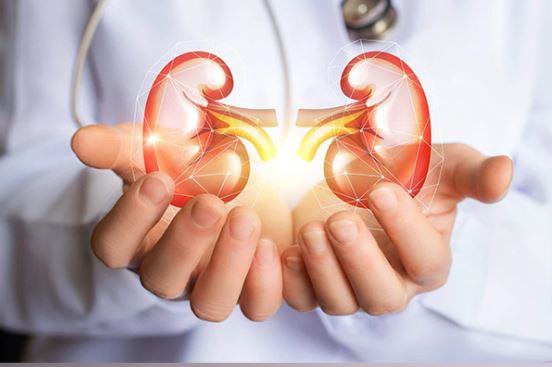 Illegal kidney transplant case: SC expresses dismay over accused doctor’s absence