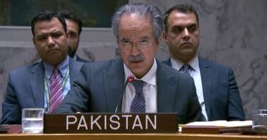 Pakistan backs Arab League's stand against foreign occupation, urges stronger bonds with UN