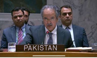 Pakistan backs Arab League's stand against foreign occupation, urges stronger bonds with UN