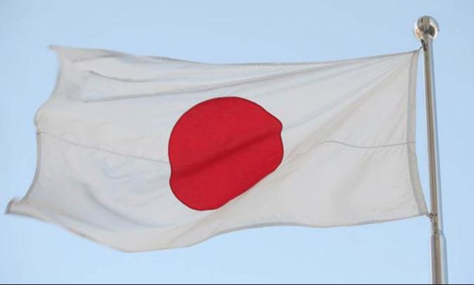 Japan records 80cm tsunami after powerful quake: JMA