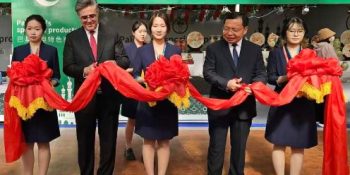 Ambassador Hashmi inaugurates Pakistan National Pavilion in Shouguang