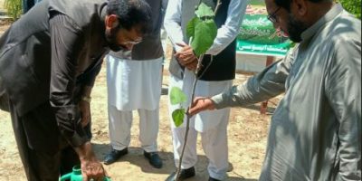 Experts: Planting trees fights pollution, ensures green future