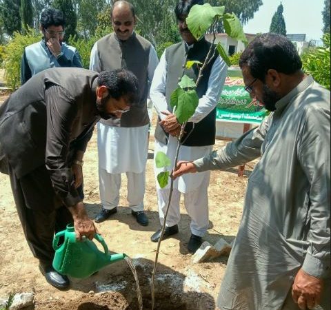 Experts: Planting trees fights pollution, ensures green future