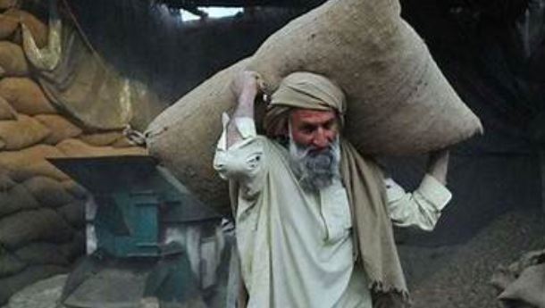 Sindh Govt executes projects to create more jobs: CM's Spl Aide message on Labour Day